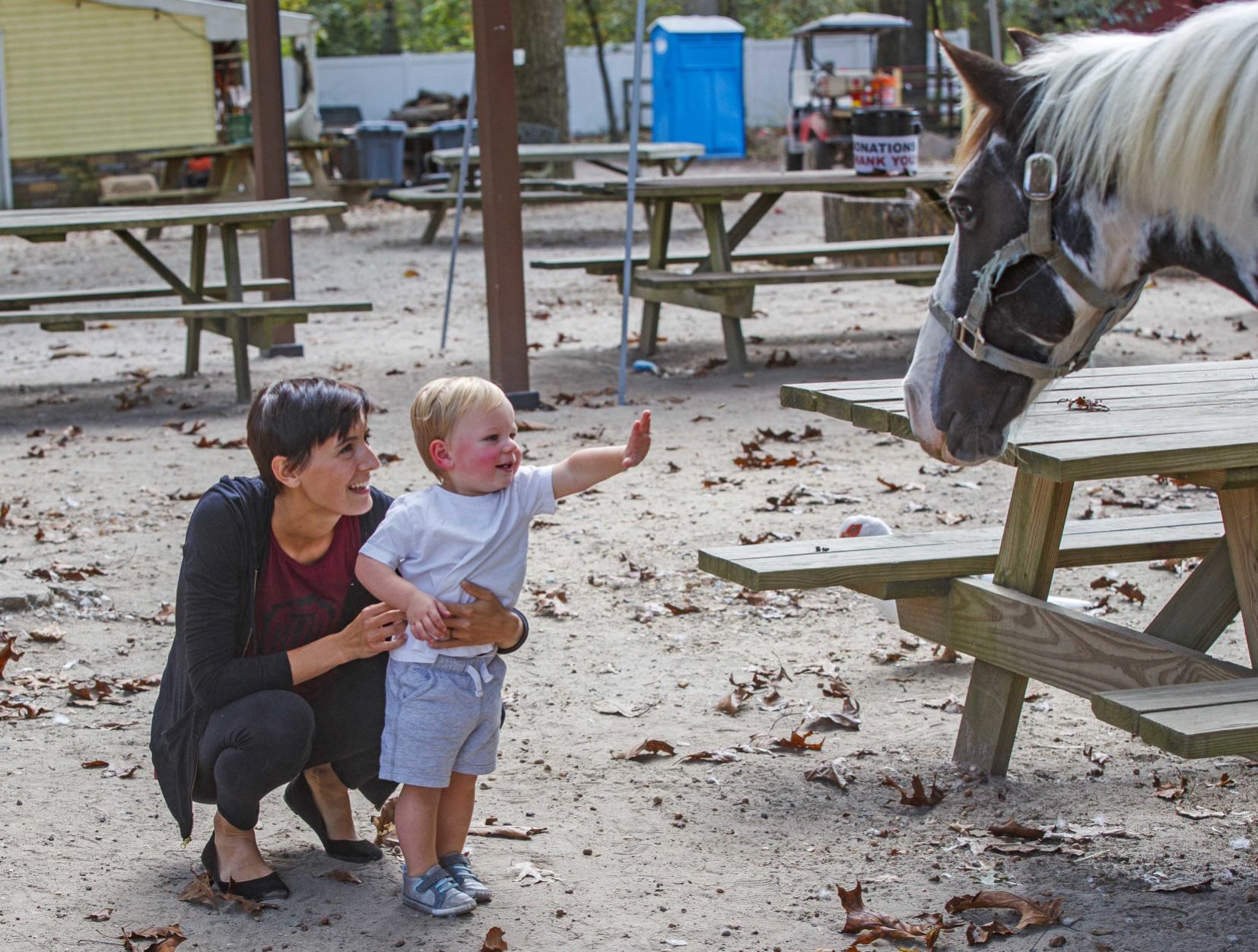 Funny Farm Rescue & Sanctuary